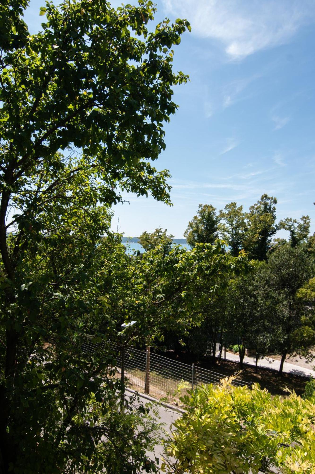 Forgotten Garden Apartments Portoroz Room photo